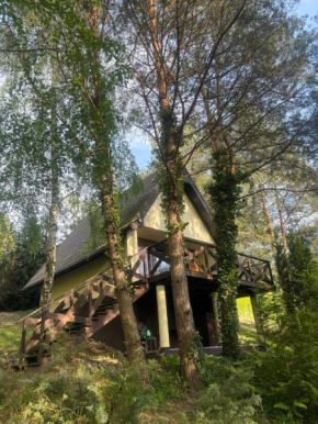 Domek Sosnowe Wzgórze Wiktorowo